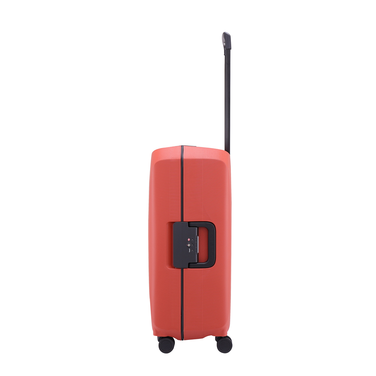 Lojel Voja Medium - Image 3