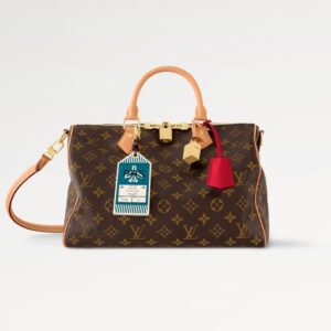 LOUIS VUITTON Speedy Soft 30 Crafty