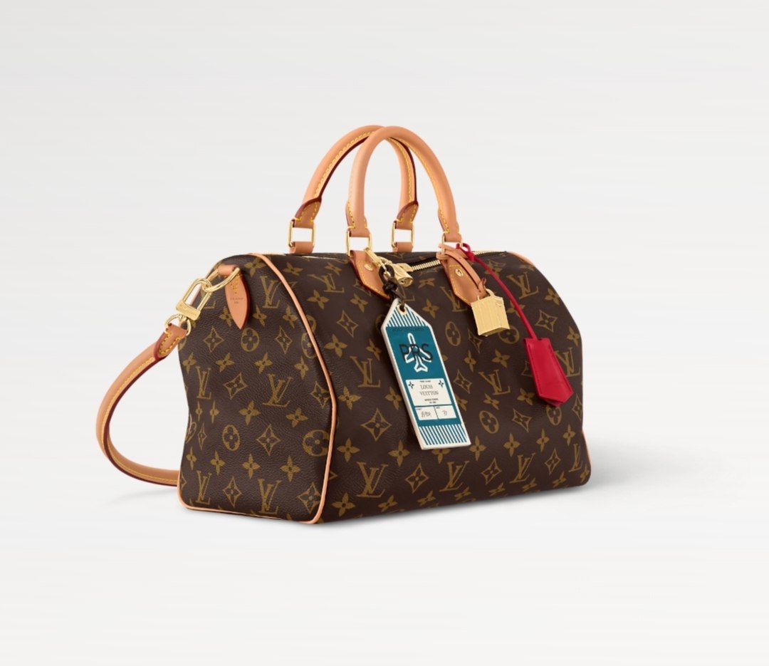 LOUIS VUITTON Speedy Soft 30 Crafty - Image 2