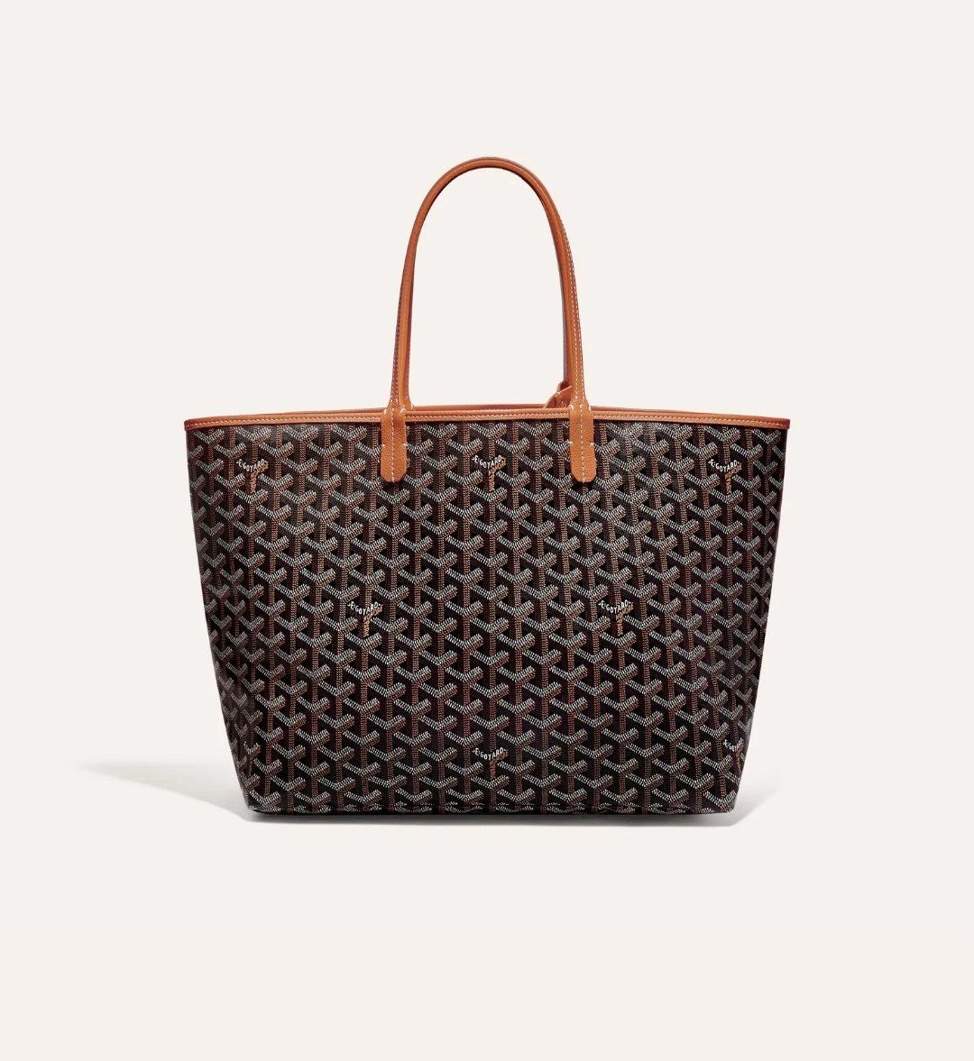 GOYARD Saint Louis PM Bag - Image 2