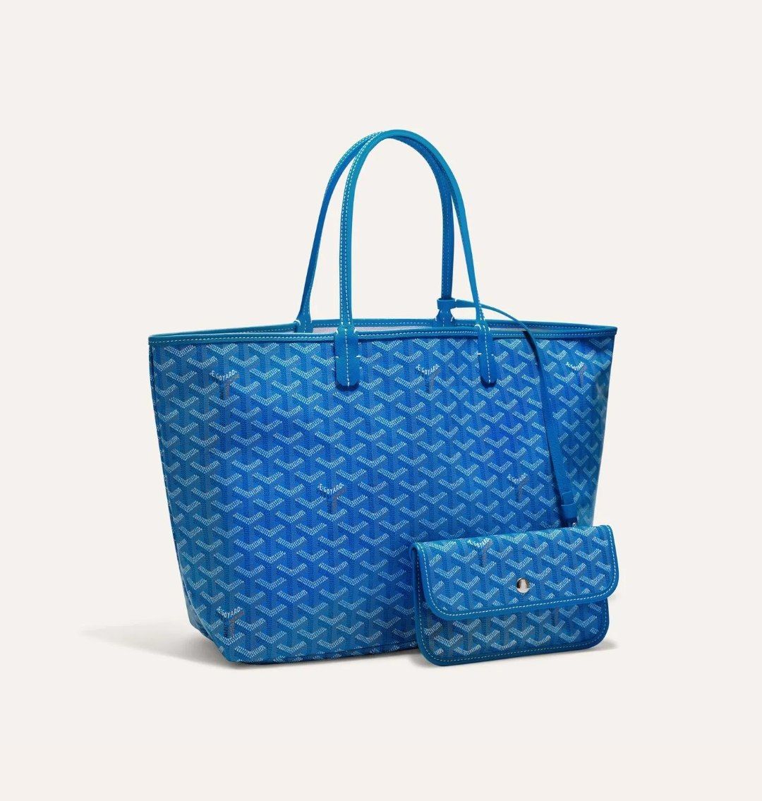 GOYARD Saint Louis PM Bag - Image 11
