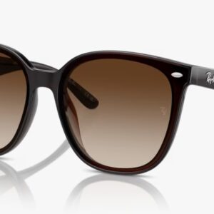 [PRE ORDER] Rayban RB4423D 714/13 [Free Shipping]
