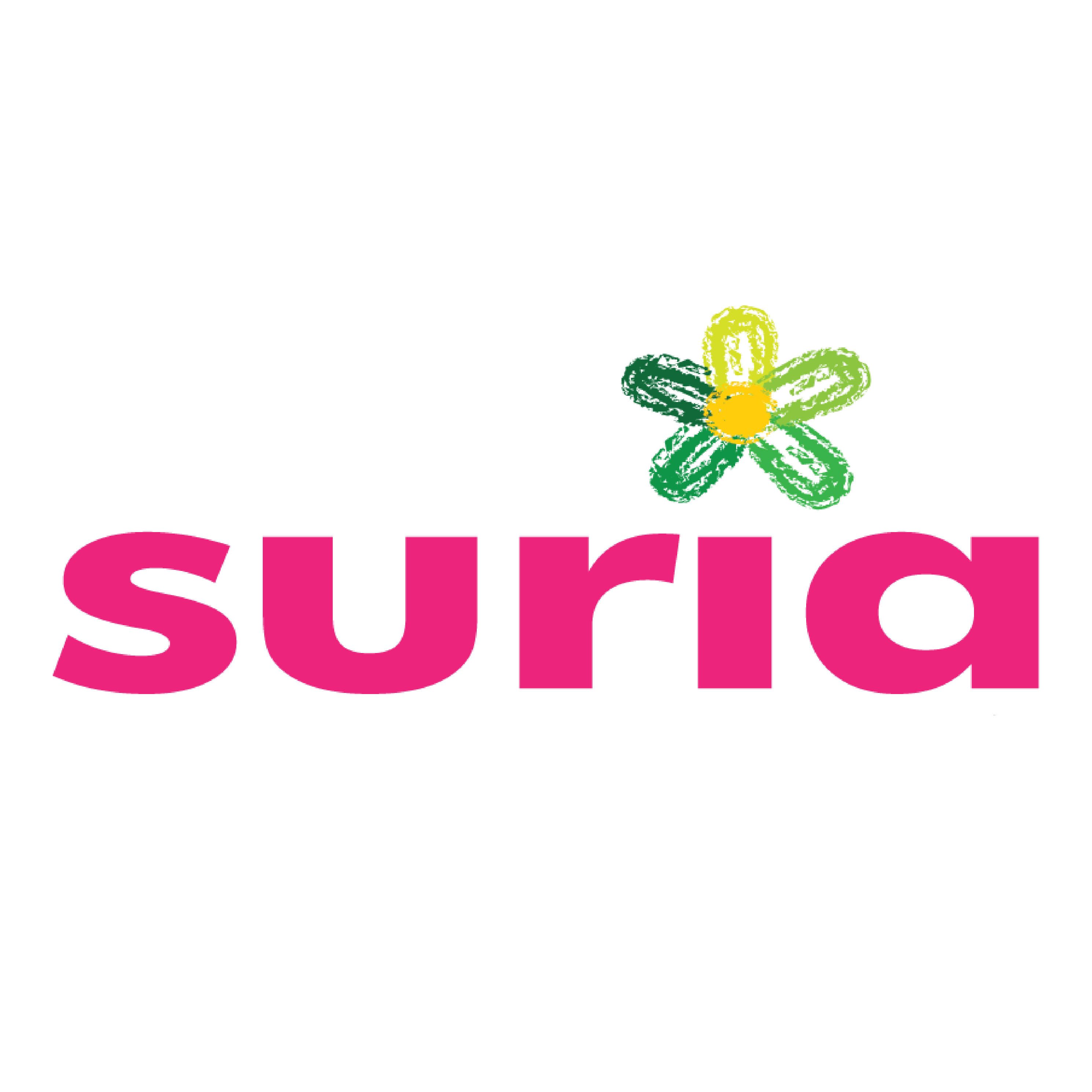 SURIA ENGINEERING SOLUTIONS SDN BHD