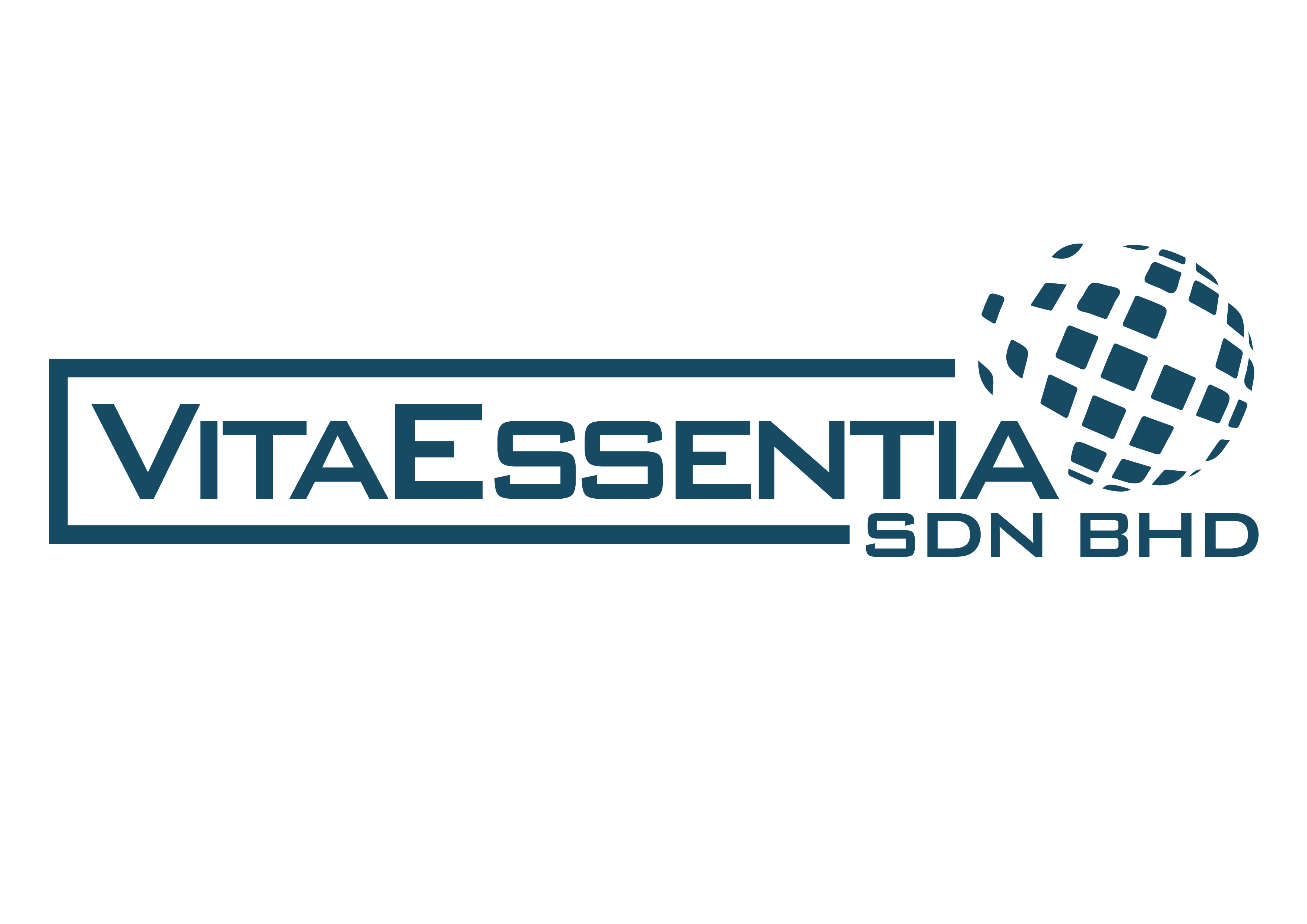 VitaEssentia