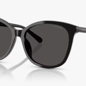[PRE ORDER] Coach HC8271U - L1101 500287 [Free Shipping]