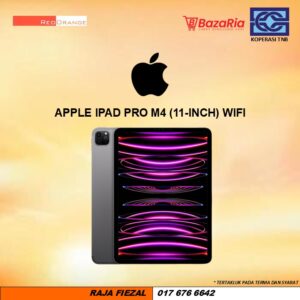 [RO] Apple Ipad Pro M4 (11-Inch) Wifi
