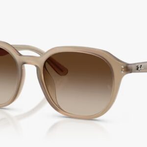 [PRE ORDER] Rayban RB4459D 616613 [Free Shipping]