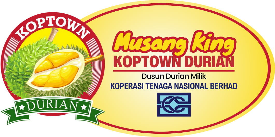 Durian Musang King dari Ladang Milik Koperasi TNB
