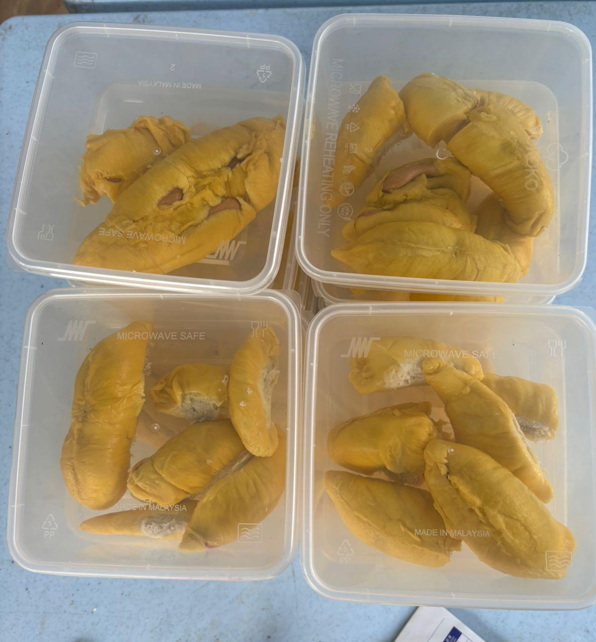 Durian Musang King dari Ladang Milik Koperasi TNB - Image 3
