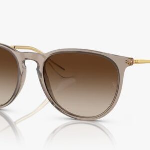 [PRE ORDER] Rayban RB4171F - Erika 674413 [Free Shipping]