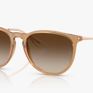 [PRE ORDER] Rayban RB4171F - Erika 681413 [Free Shipping]