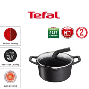 Tefal Robusto Stewpot 20cm