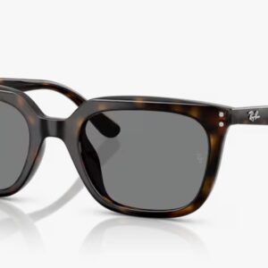 [PRE ORDER] Rayban RB4439D 710/87 [Free Shipping]