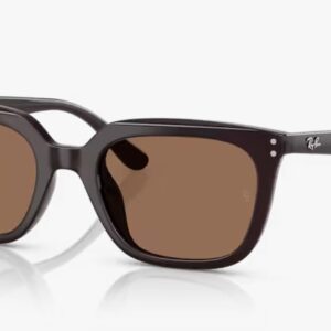 [PRE ORDER] Rayban RB4439D 623173 [Free Shipping]