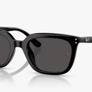 [PRE ORDER] Rayban RB4439D 901/87 [Free Shipping]