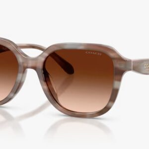 [PRE ORDER] Coach HC8437F - CBY89 590174 [Free Shipping]