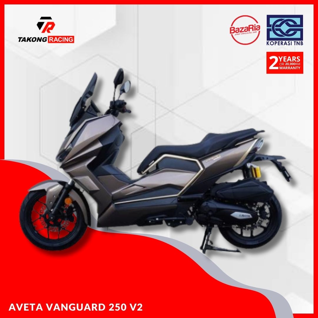 AVETA VANGUARD 250 V2 - Image 2