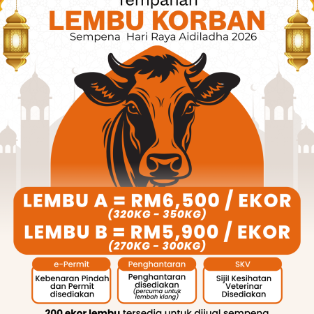 LEMBU KORBAN
