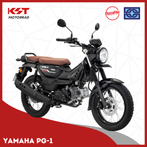 Yamaha PG-1