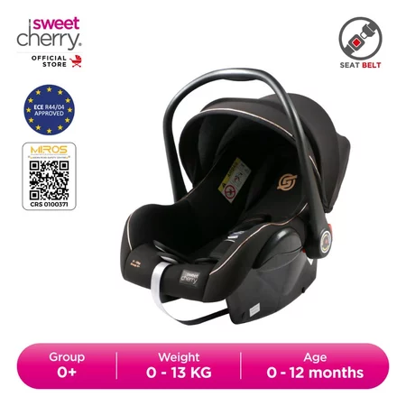 Sweet Cherry Newborn Rearward Facing Infant Baby Carrier Car Seat
