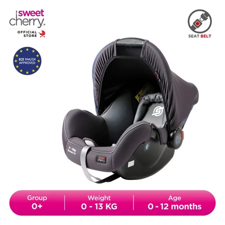 Sweet Cherry Baby Car Seat Assurance Portable Group